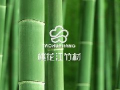 竹子是环保并可回收的材料