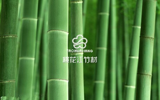 竹材环保
