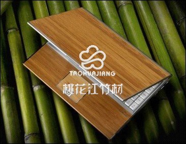桃花江参加上海竹博会