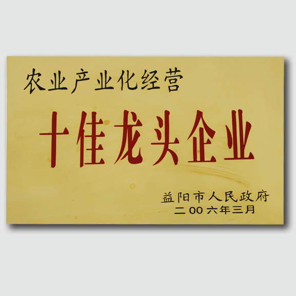 桃花江-十佳龙头企业