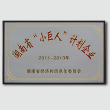 湖南省小巨人计划企业