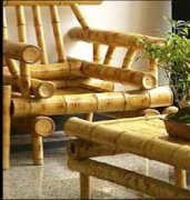 原竹家具和竹集成材家具种类