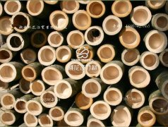 国家提倡使用环保建材——竹材