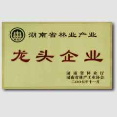 桃花江竹材-湖南省林业产业龙头企业