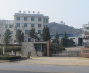 竹胶合板 胶合竹板材