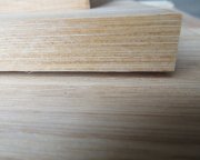 竹材工艺取得突破 推进竹材工业利用